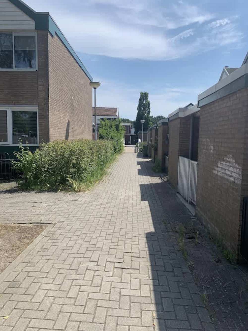 De Sint Pieter 8