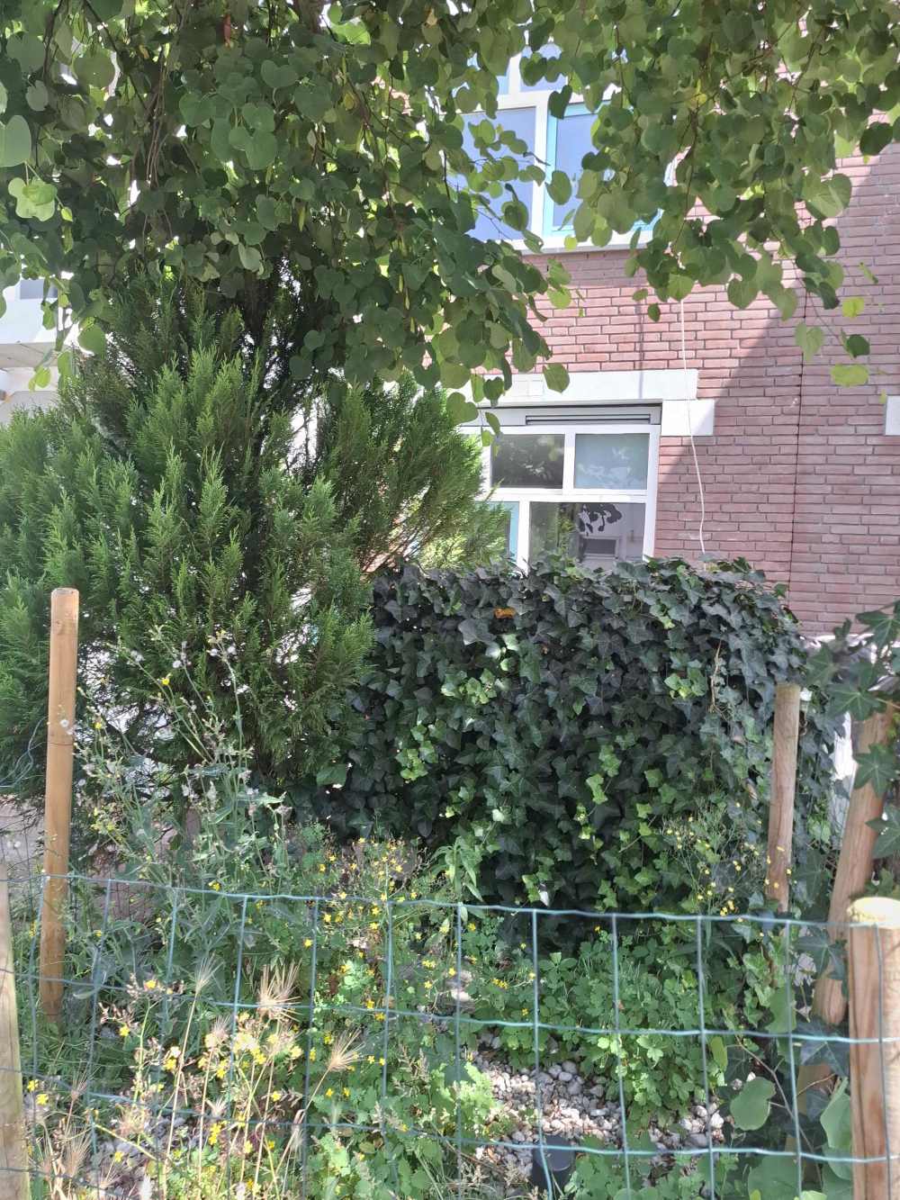 Nieuwe Houttuinen 20