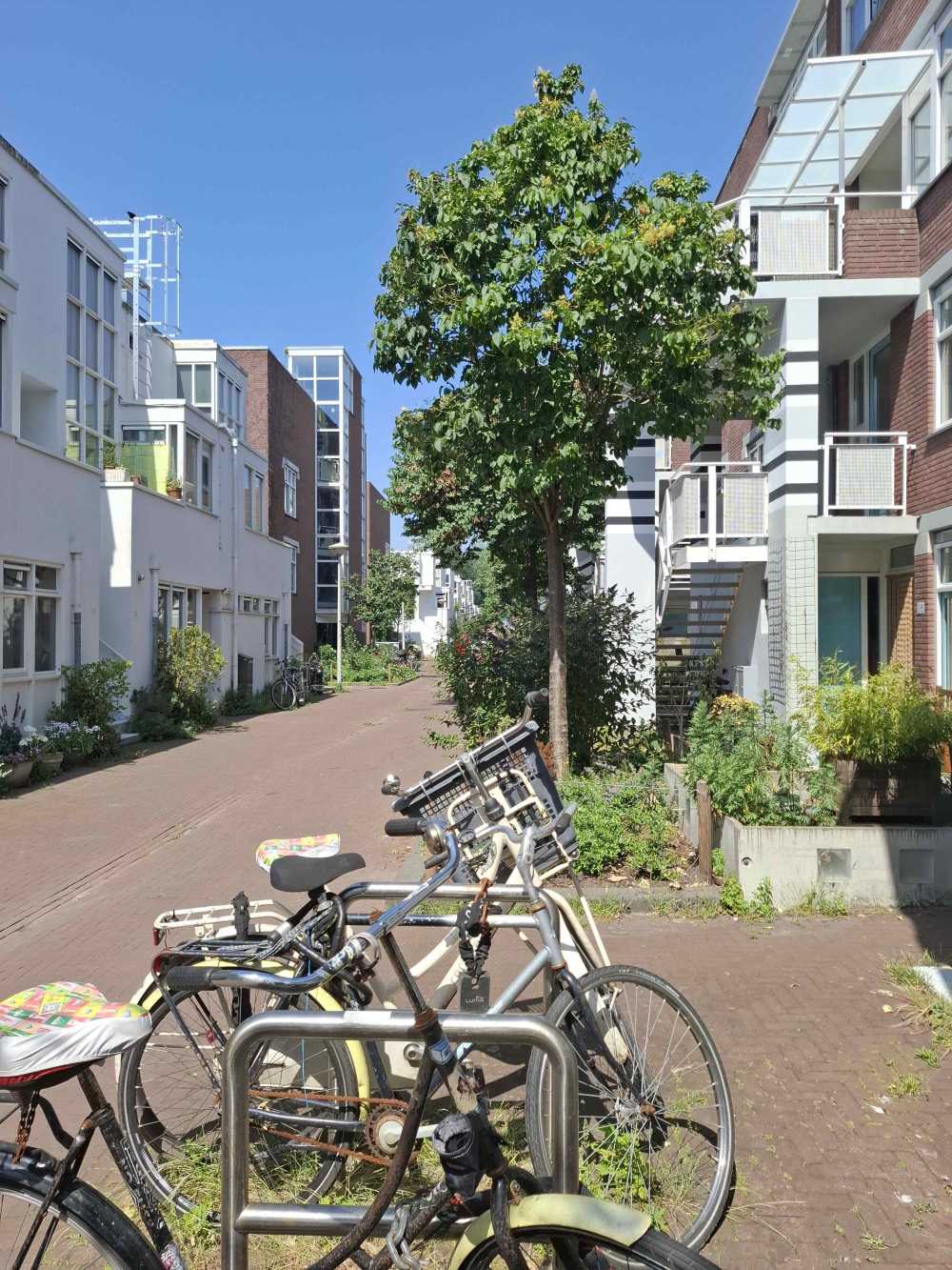 Nieuwe Houttuinen 20