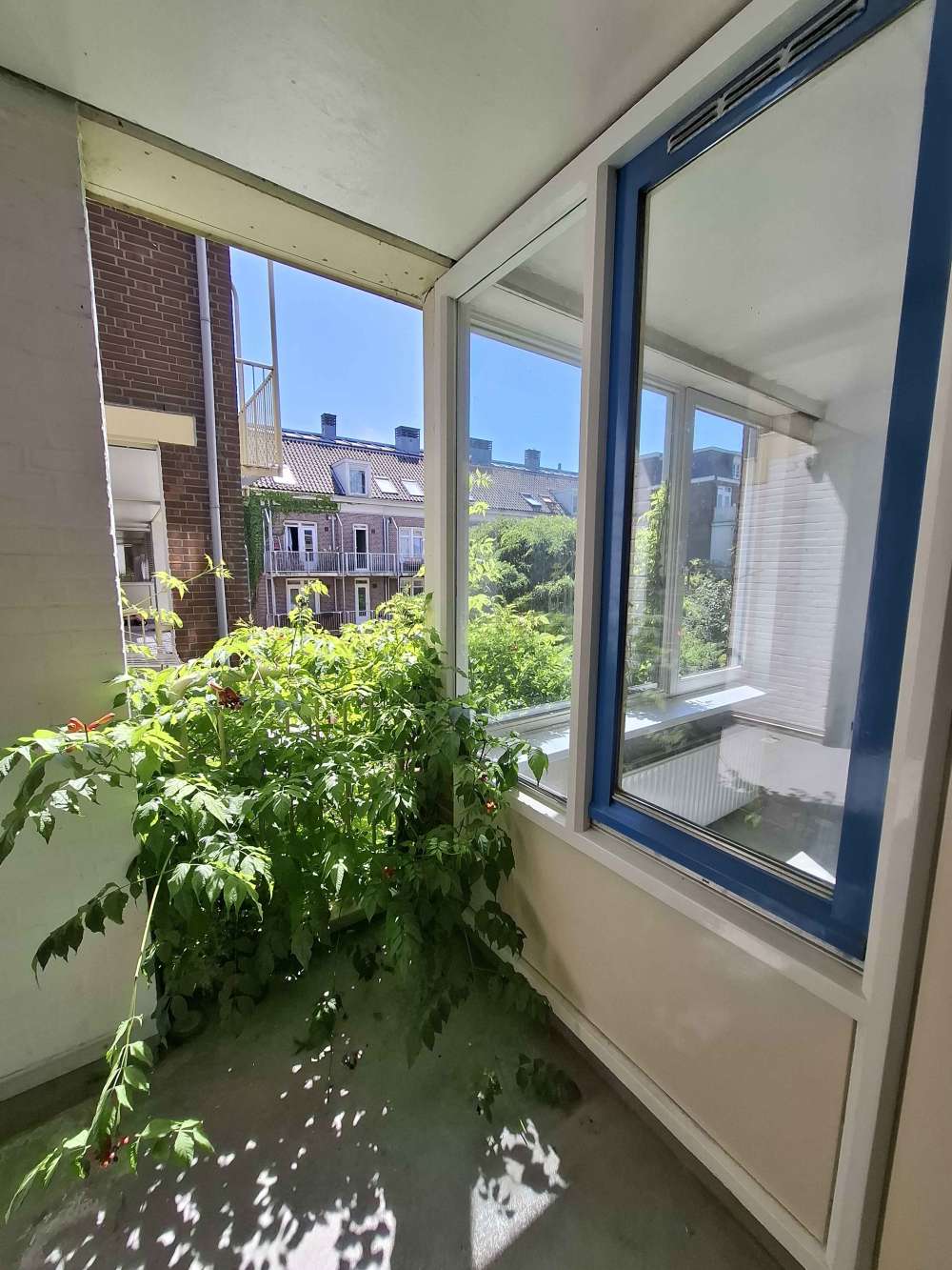 Palmdwarsstraat 20