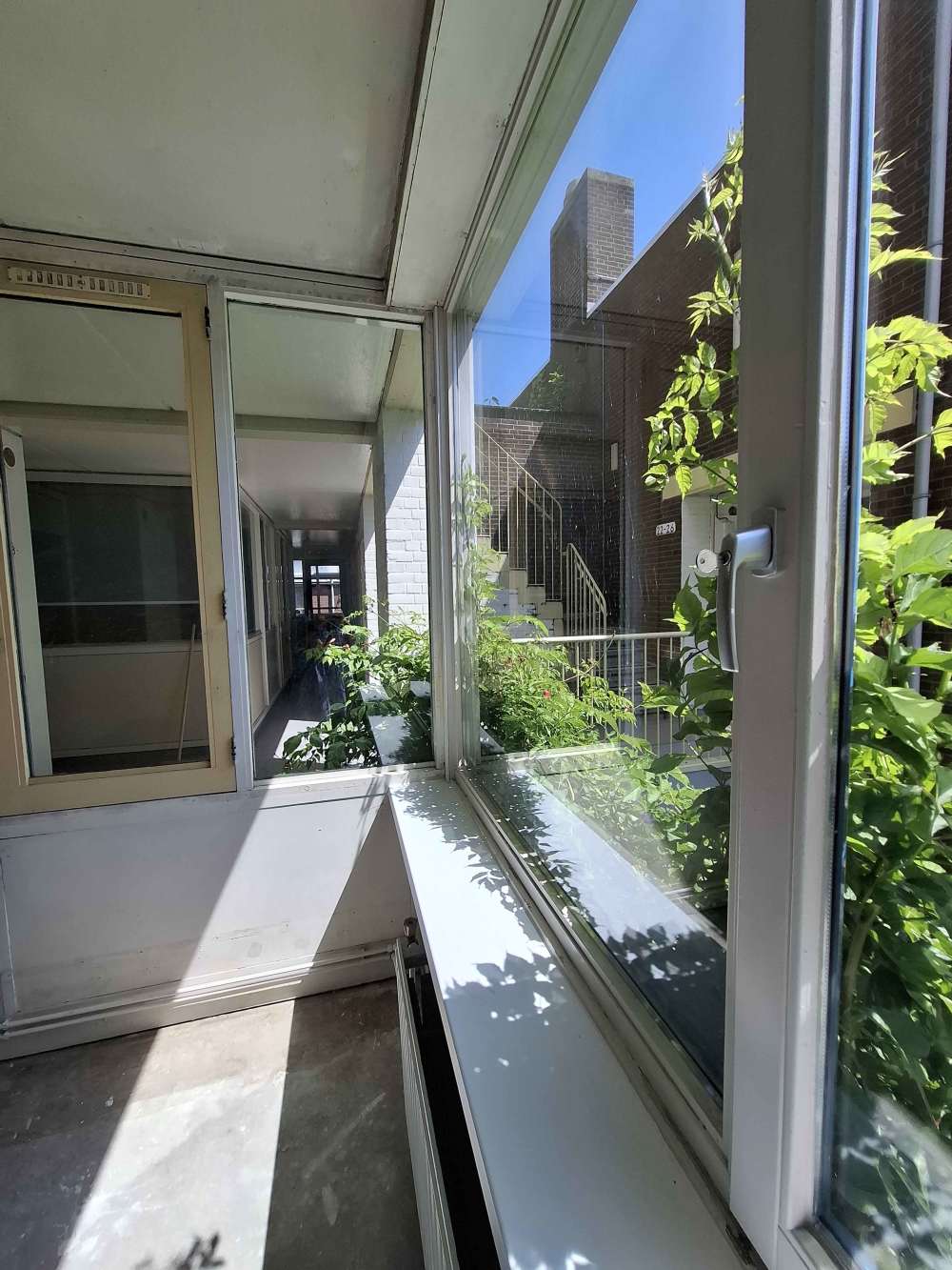 Palmdwarsstraat 20
