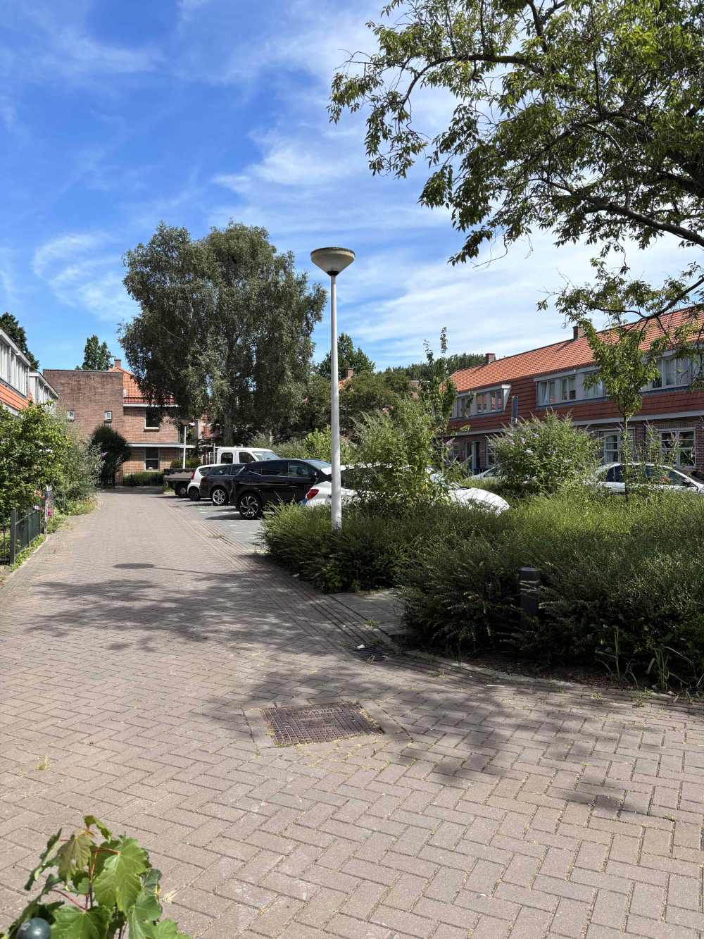 Albert Hahnplantsoen 7