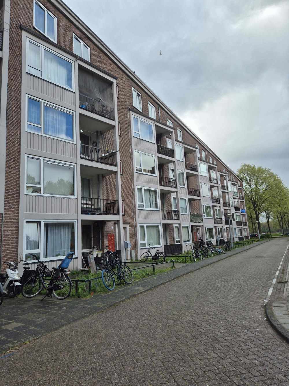 Dorus Rijkershof 12
