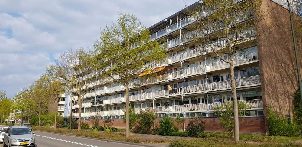 Peulenlaan 186, 3371 XT Hardinxveld-Giessendam, Nederland