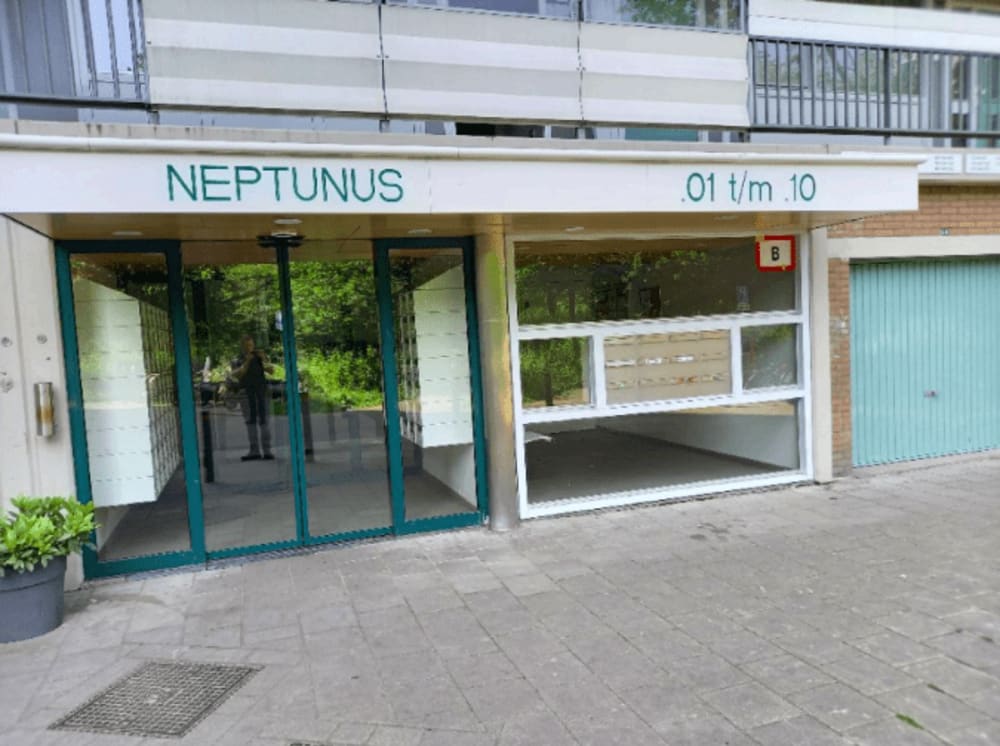 Neptunus 503