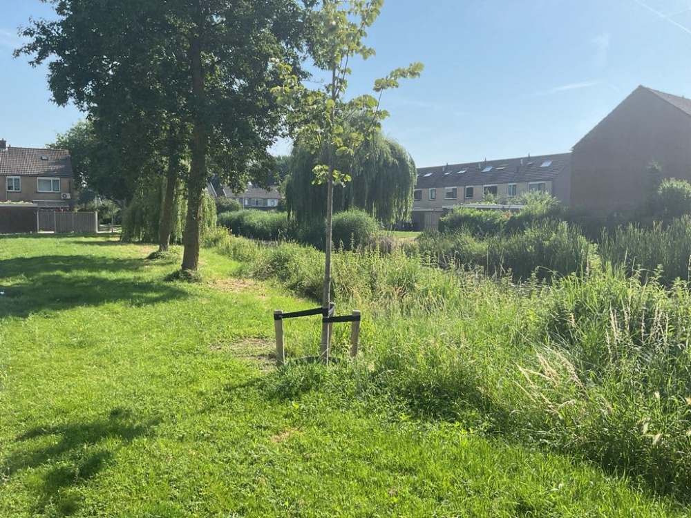 Randwijk 53