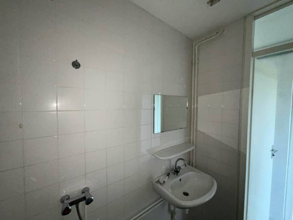 Brusselflat 53