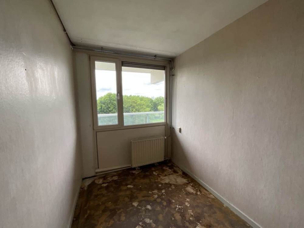 Brusselflat 53