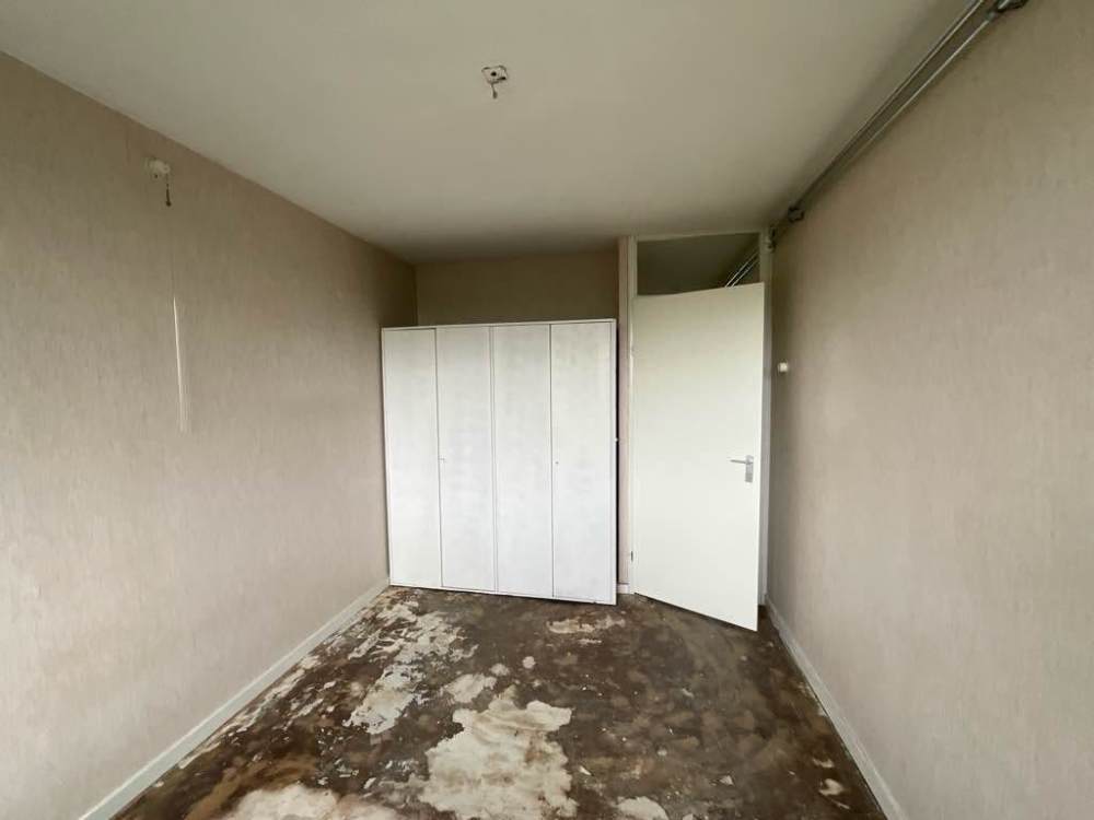 Brusselflat 53