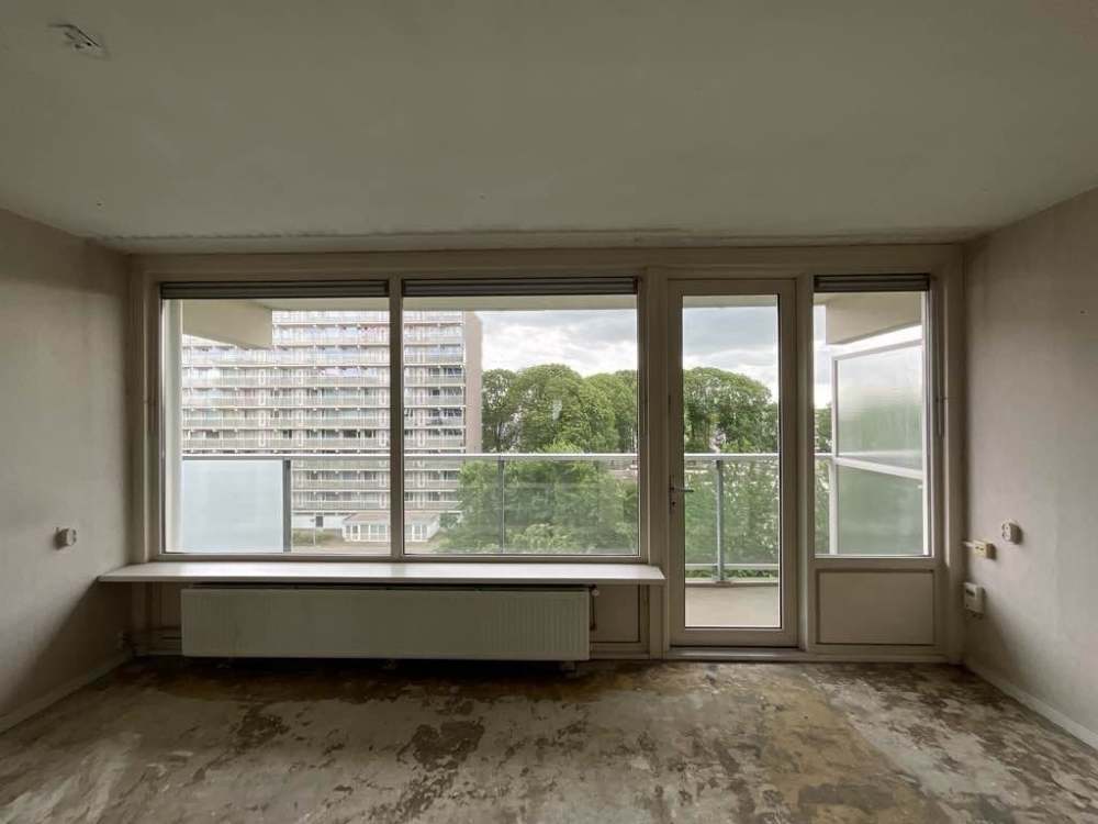 Brusselflat 53