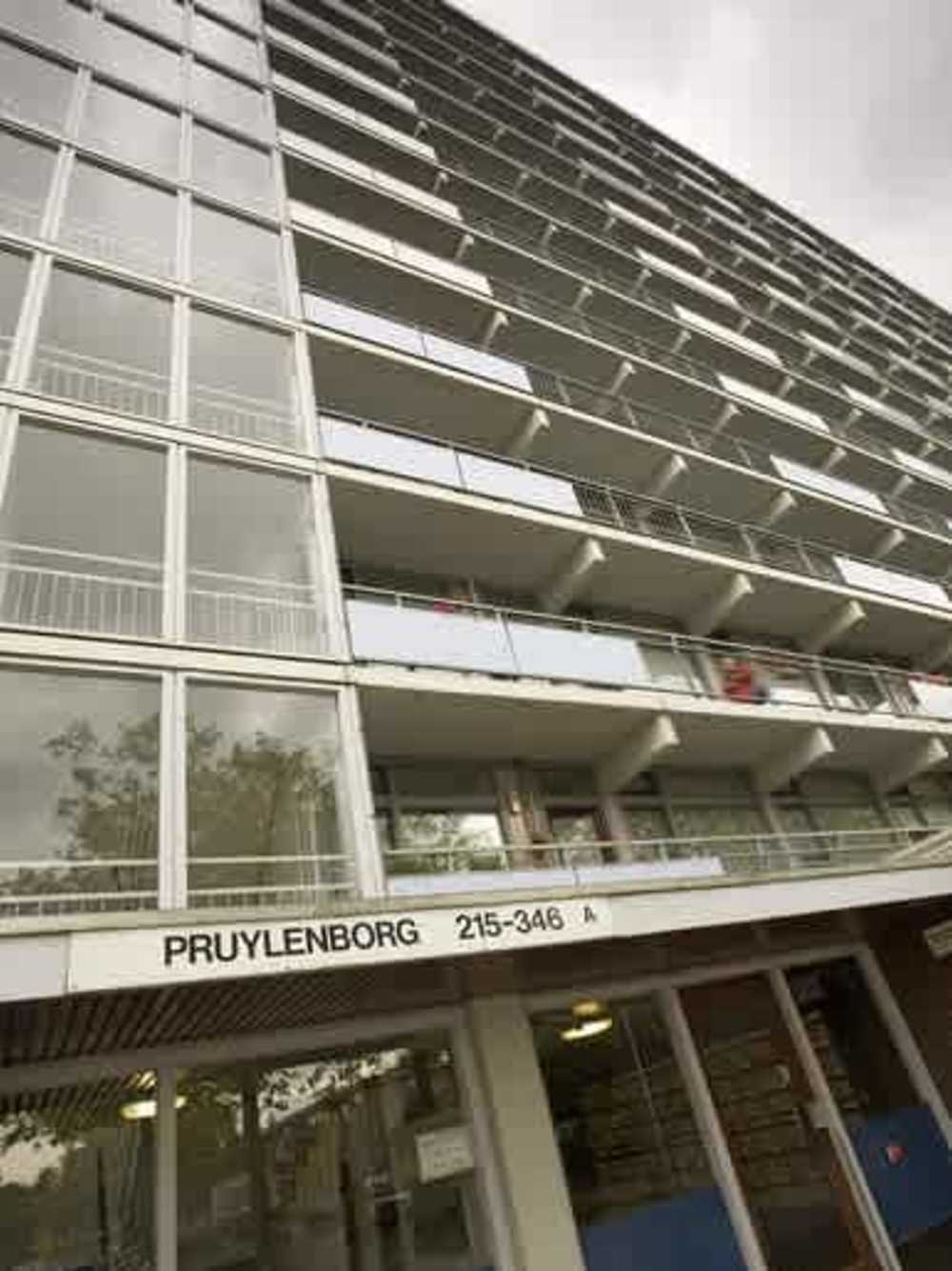 Pruylenborg 266