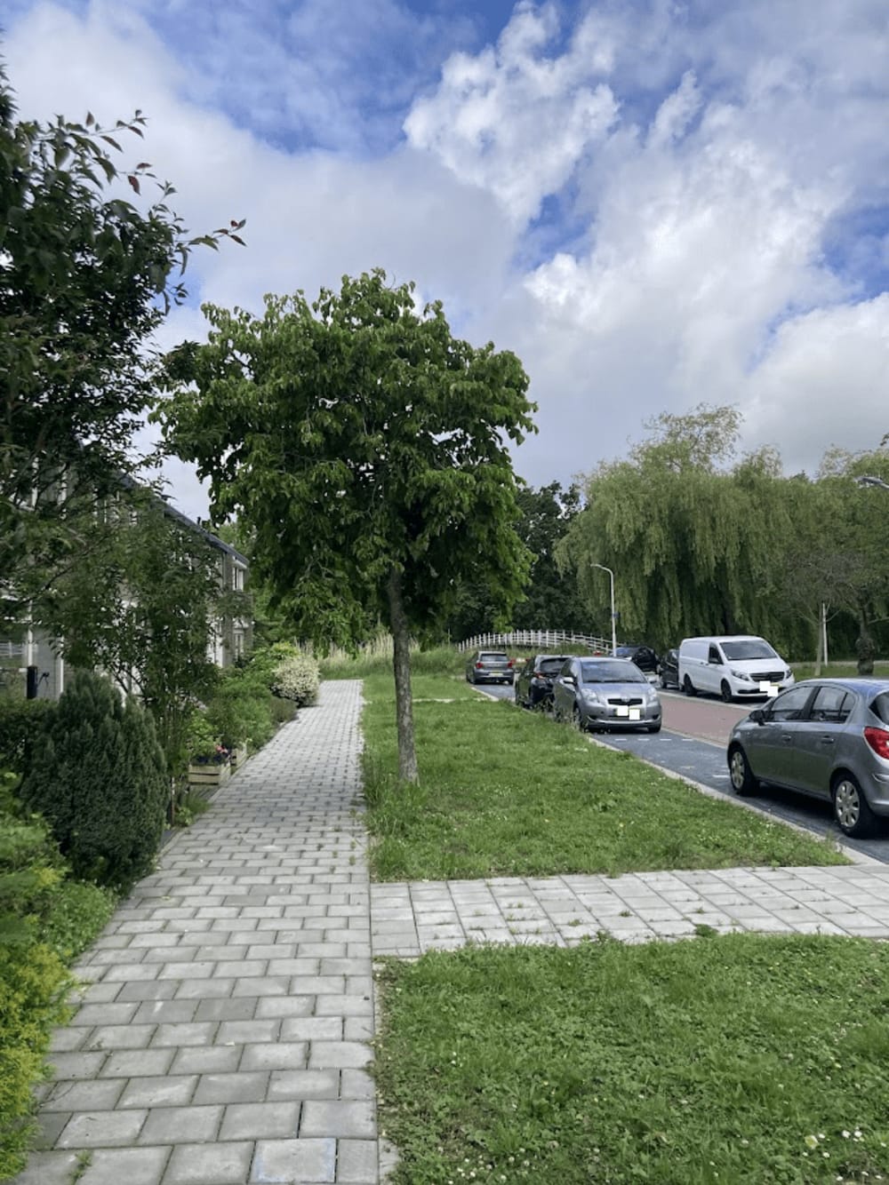 Lijsterstraat 51