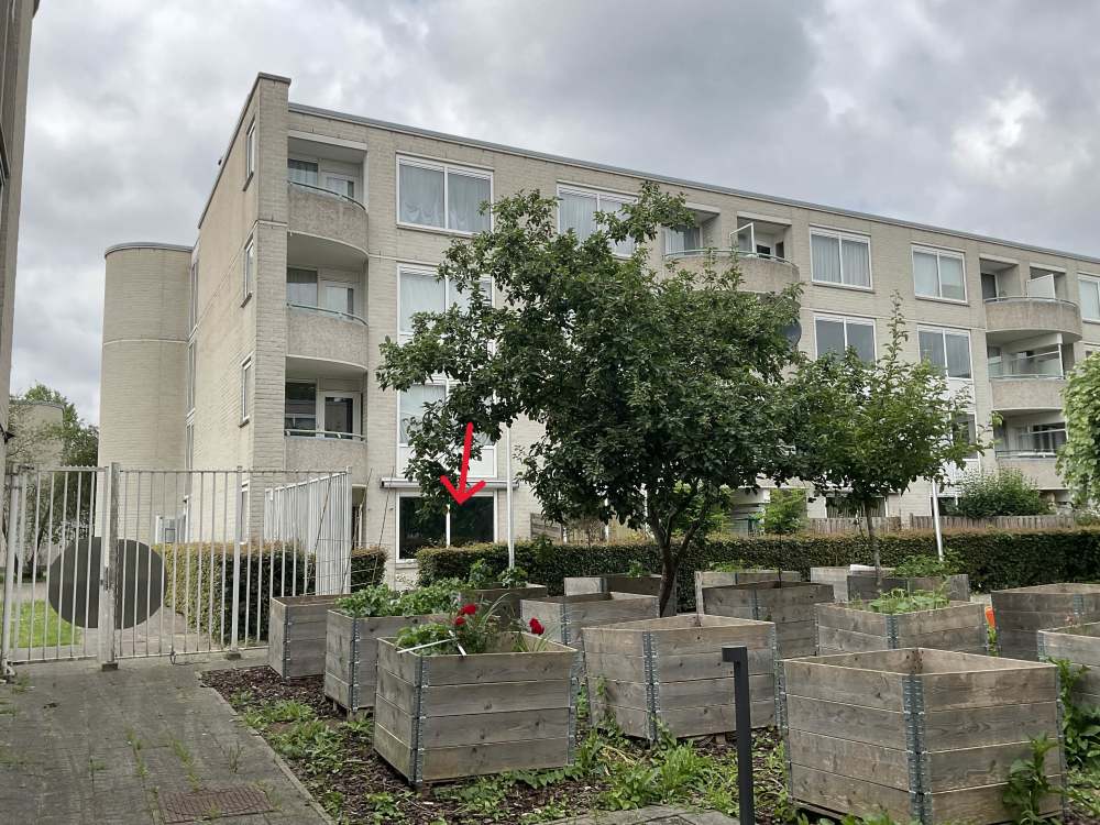 Wisseloord 629