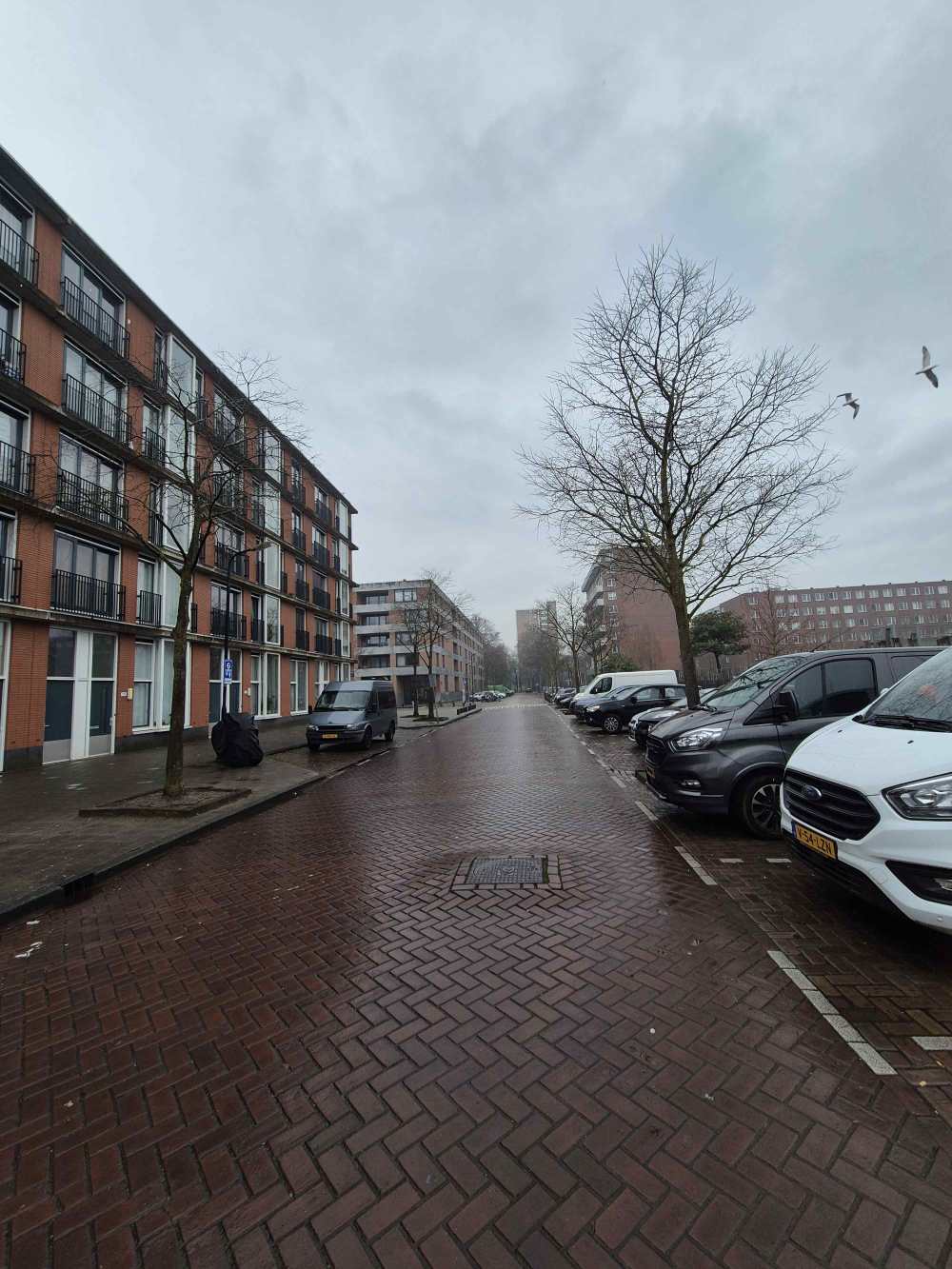 Simonskerkestraat 9F