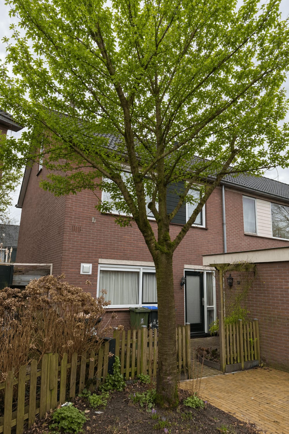 Veurhuis 17
