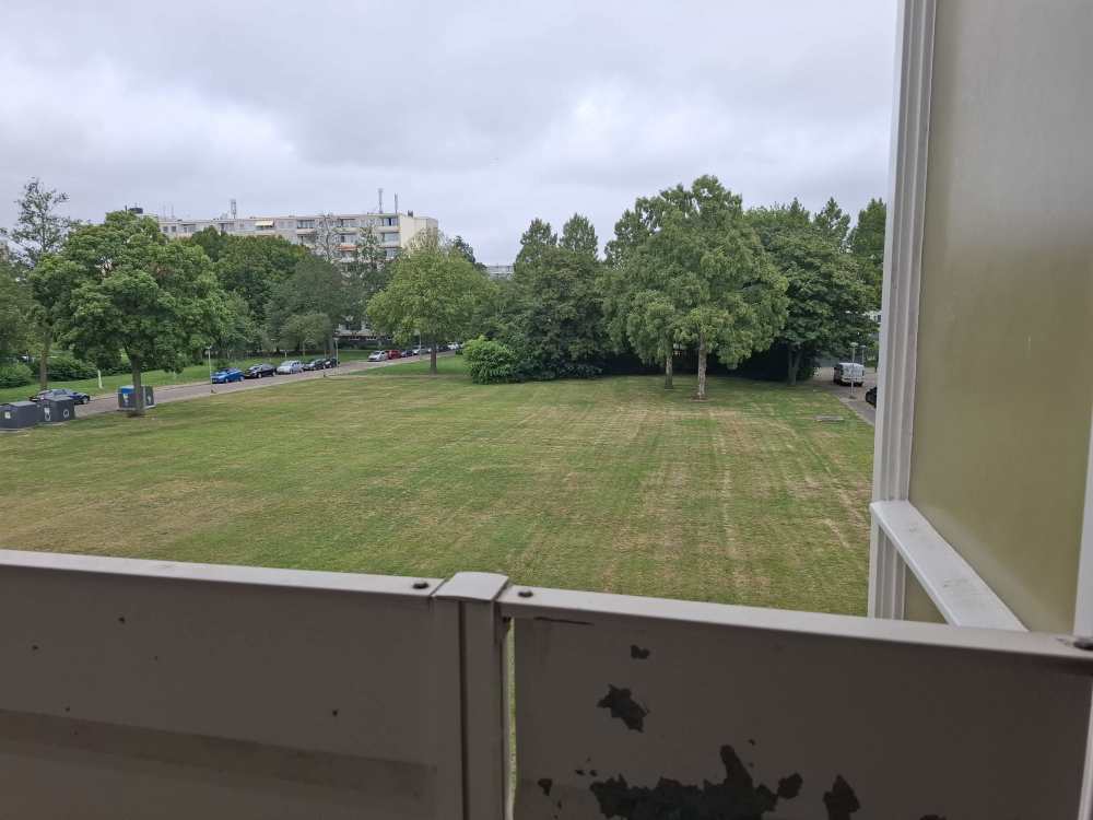 Waarschapsstraat 332