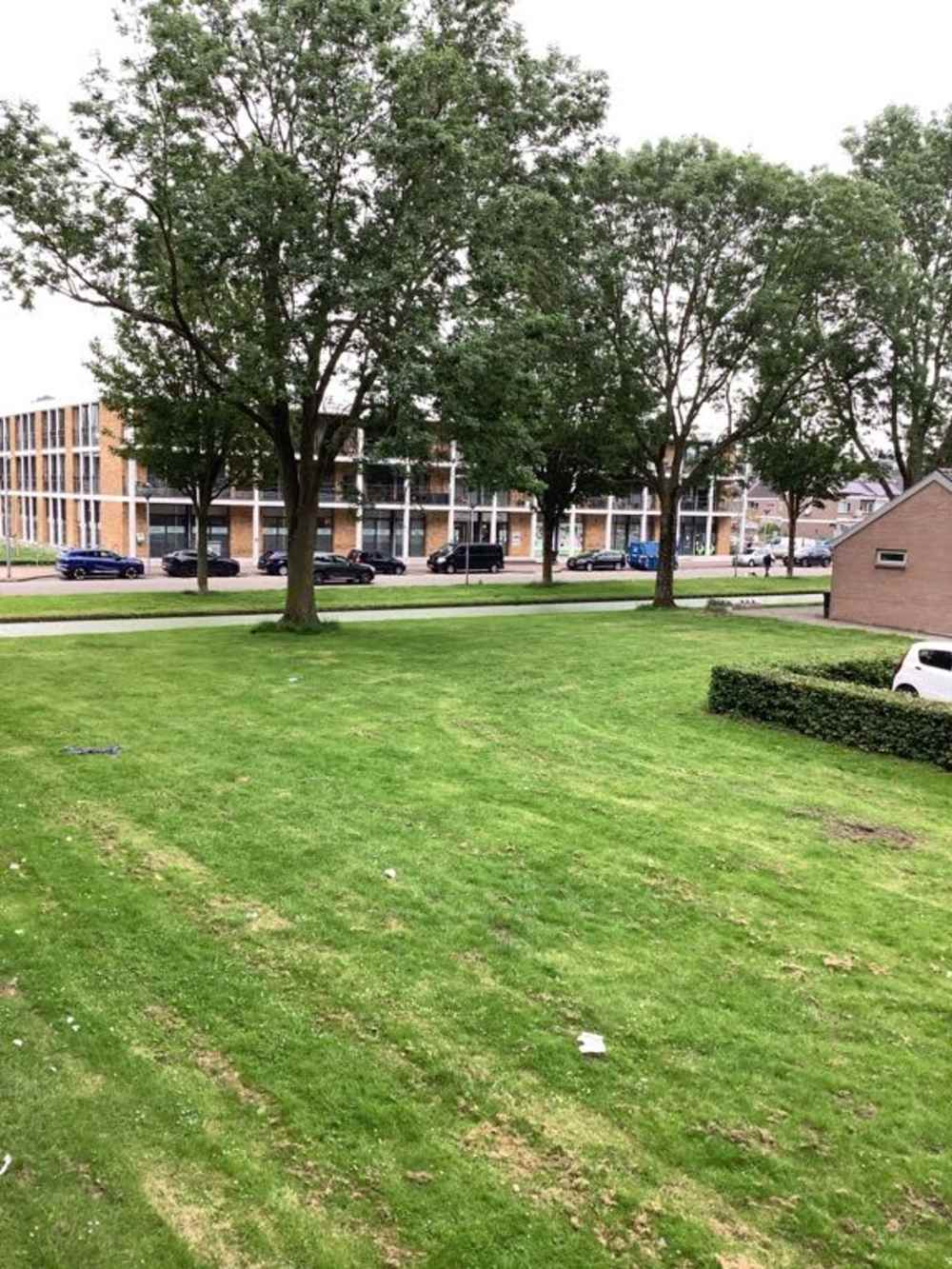 Leeuwerikplein 24