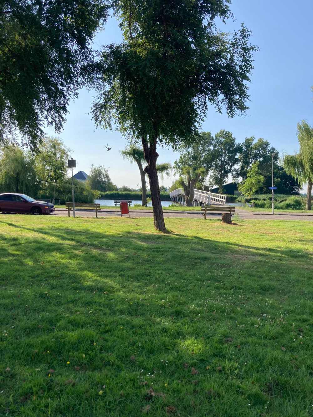 Delftsingel 13