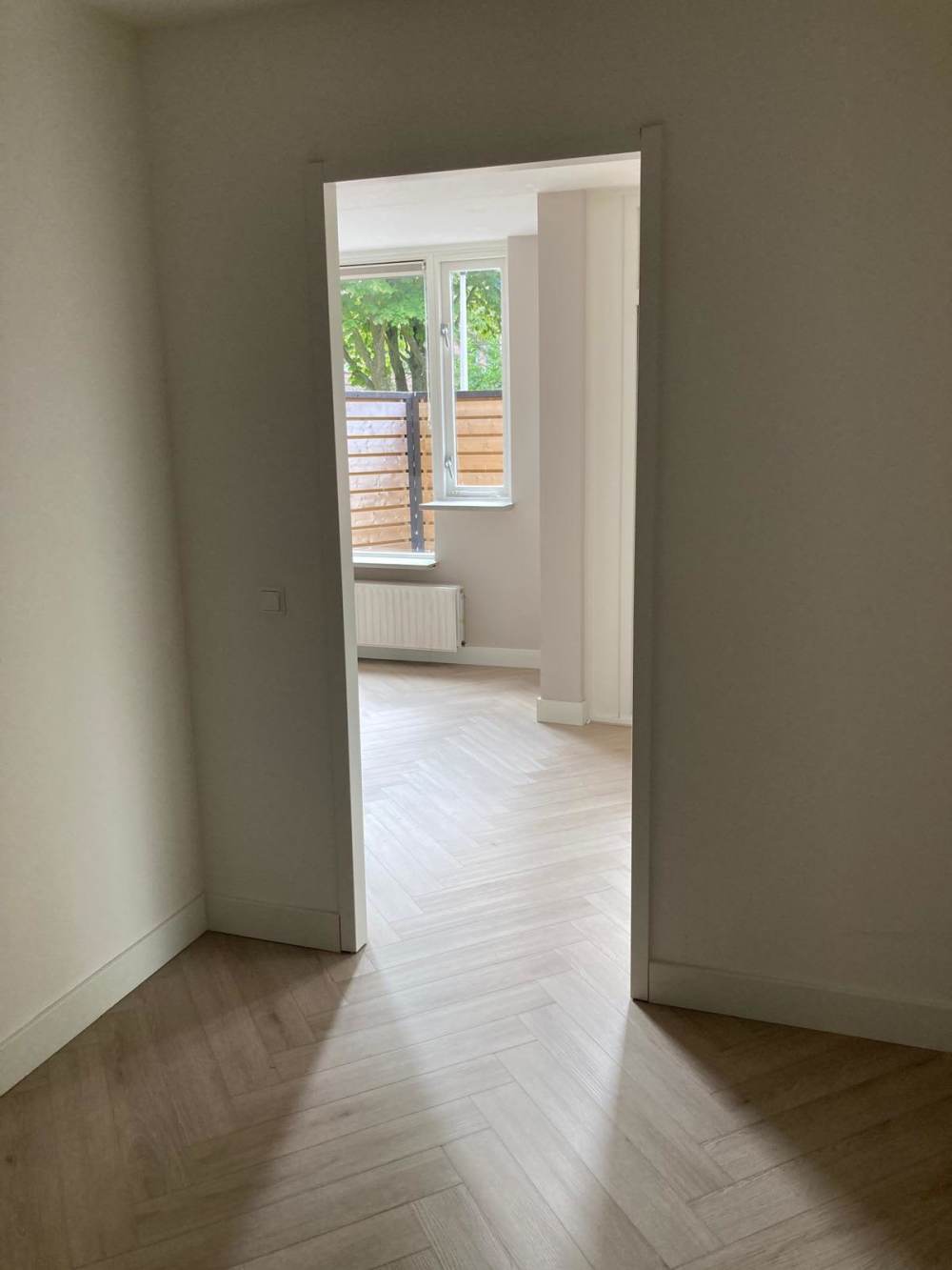 Leoniden 34