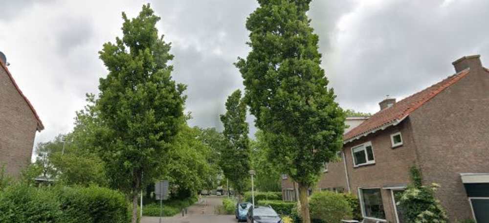 Jacobus van Waertstraat 51