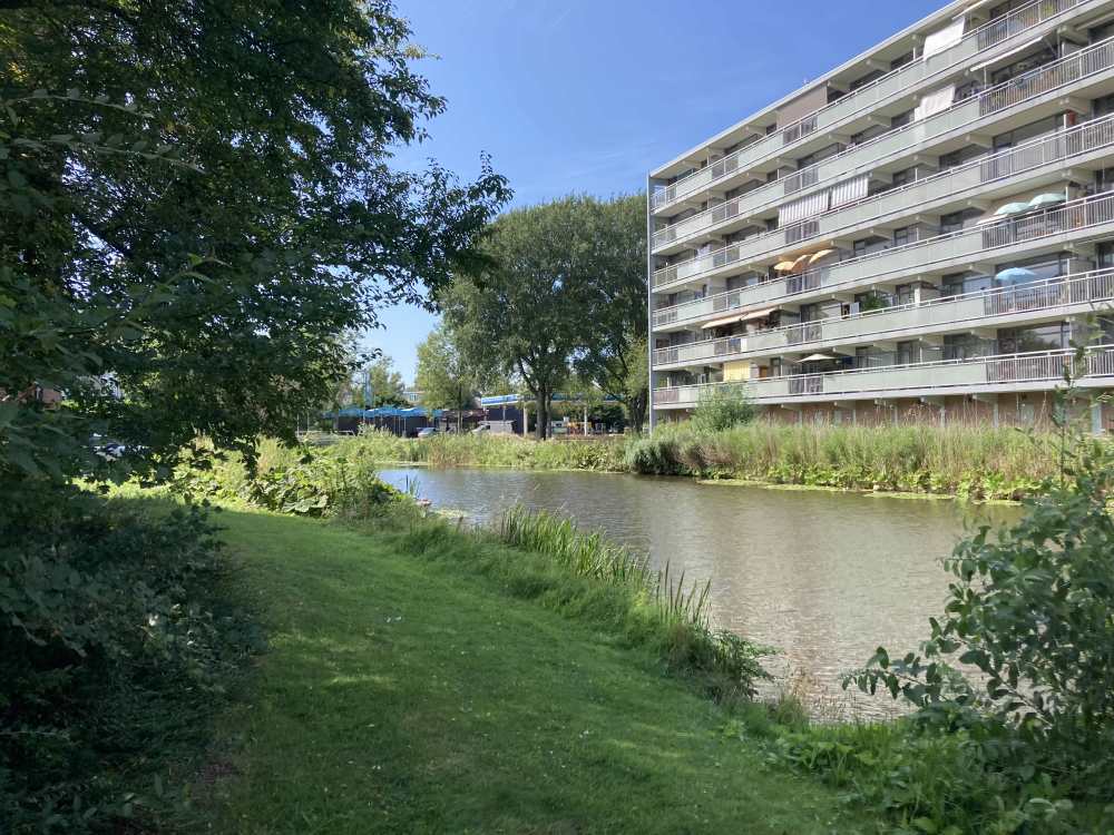 Jan Steijnstraat 141