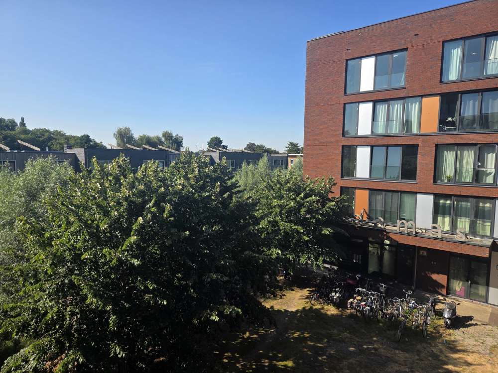 Amberhout 23