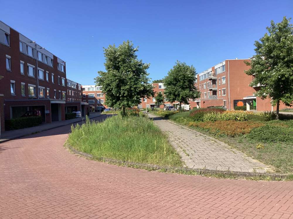 Maarsenhof 116