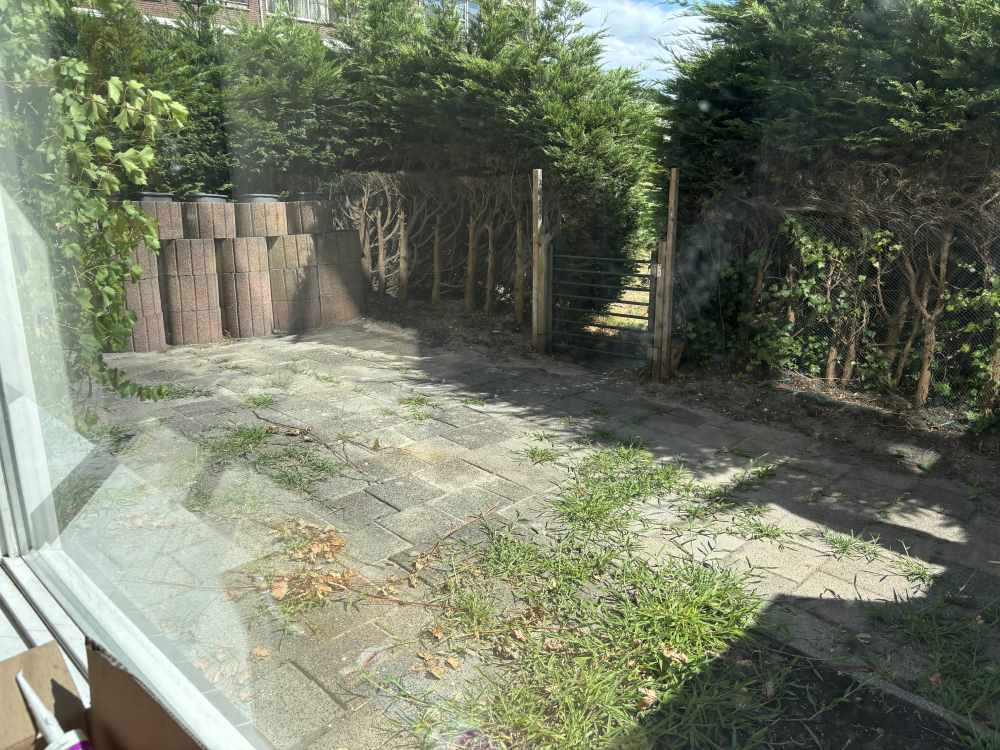 Koekoeksbloemweg 169