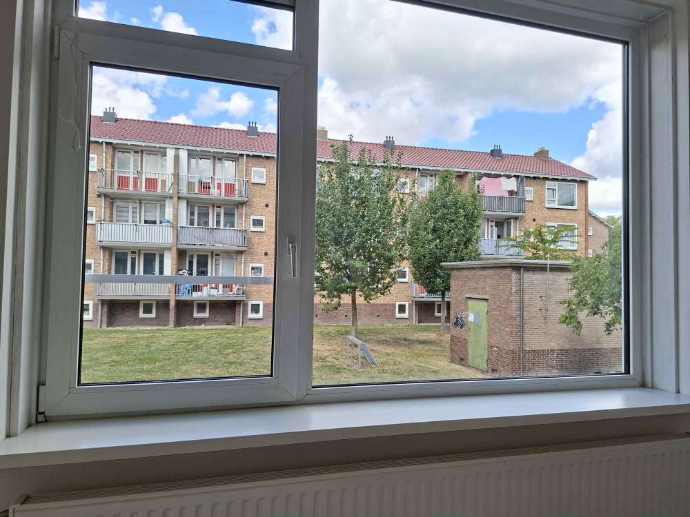 Frans Halsstraat 31
