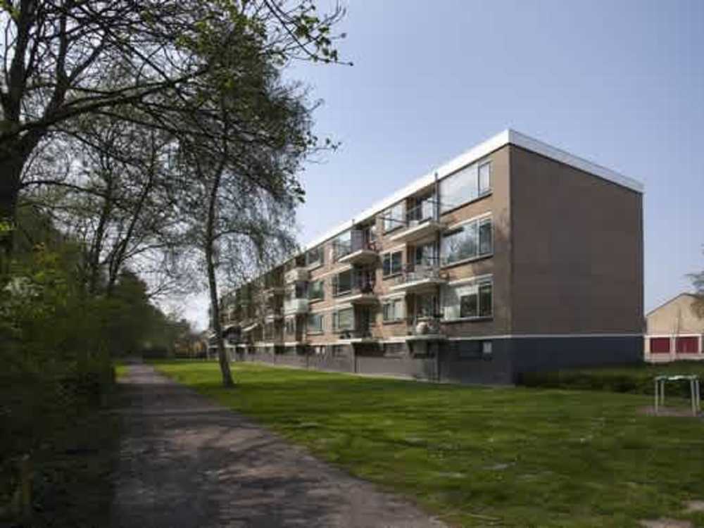 Leeuwstraat 51