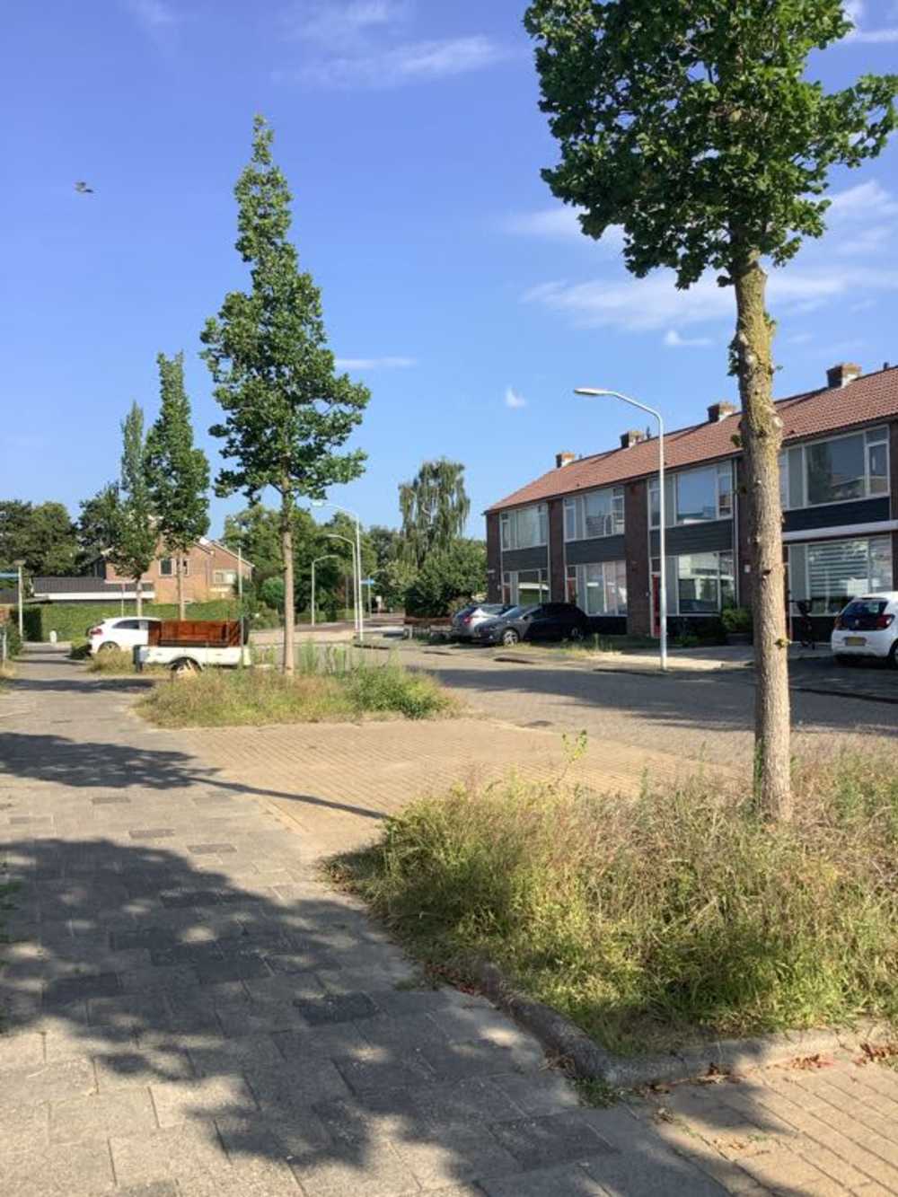 Scheidingslaan 24