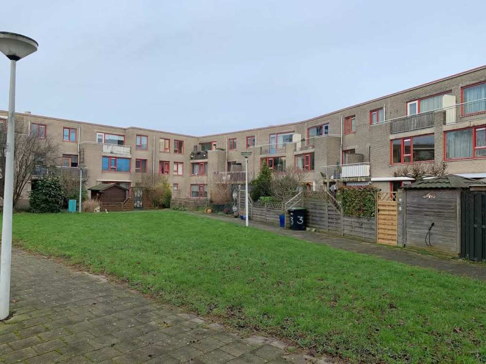 Blokschaaf 21