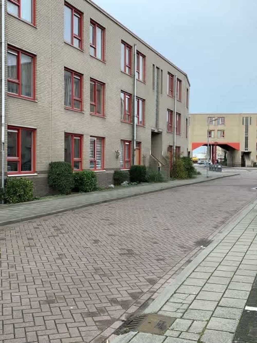 Blokschaaf 21