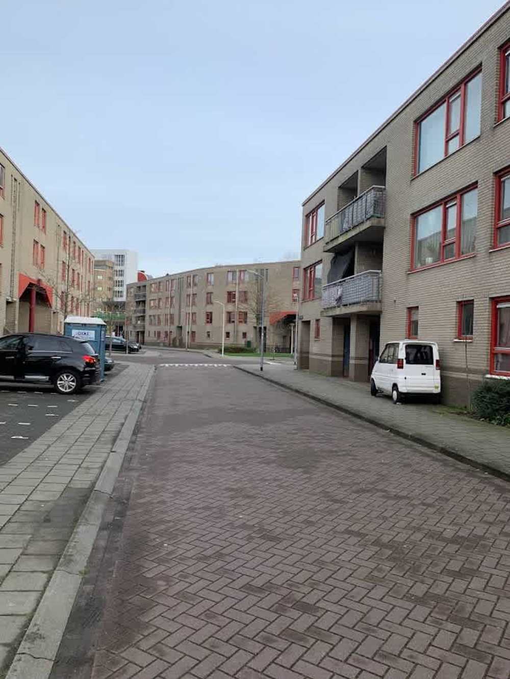 Blokschaaf 21