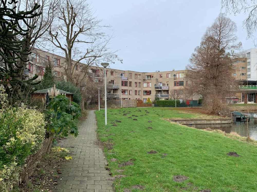 Blokschaaf 21