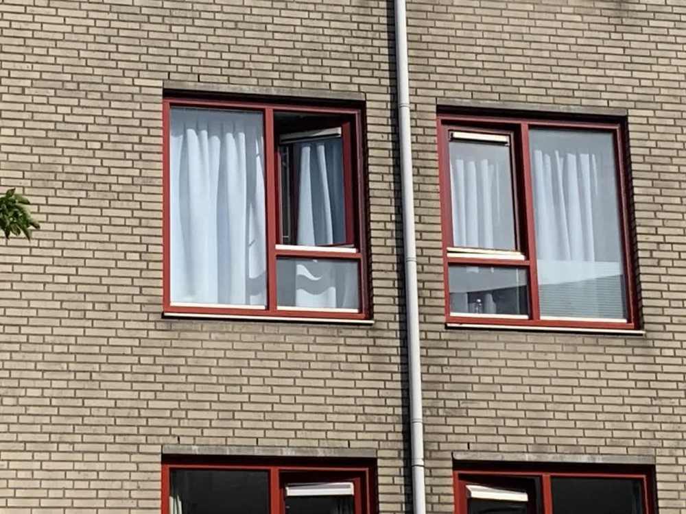 Blokschaaf 111