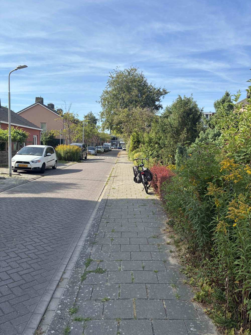 Willem van Saendenstraat 6