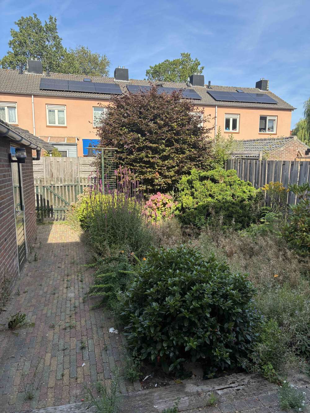 Willem van Saendenstraat 6