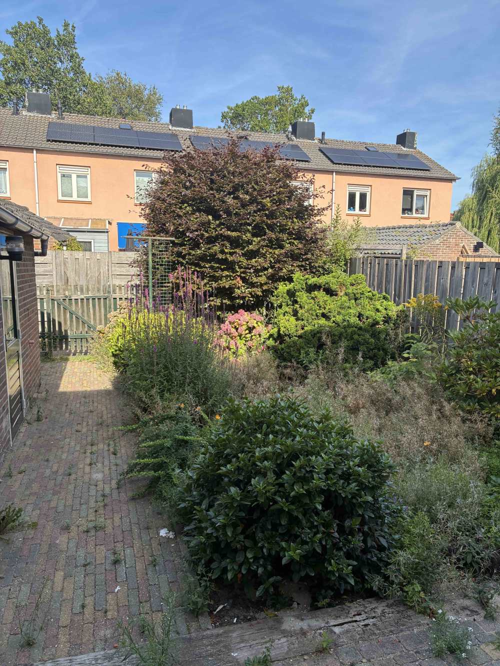 Willem van Saendenstraat 6