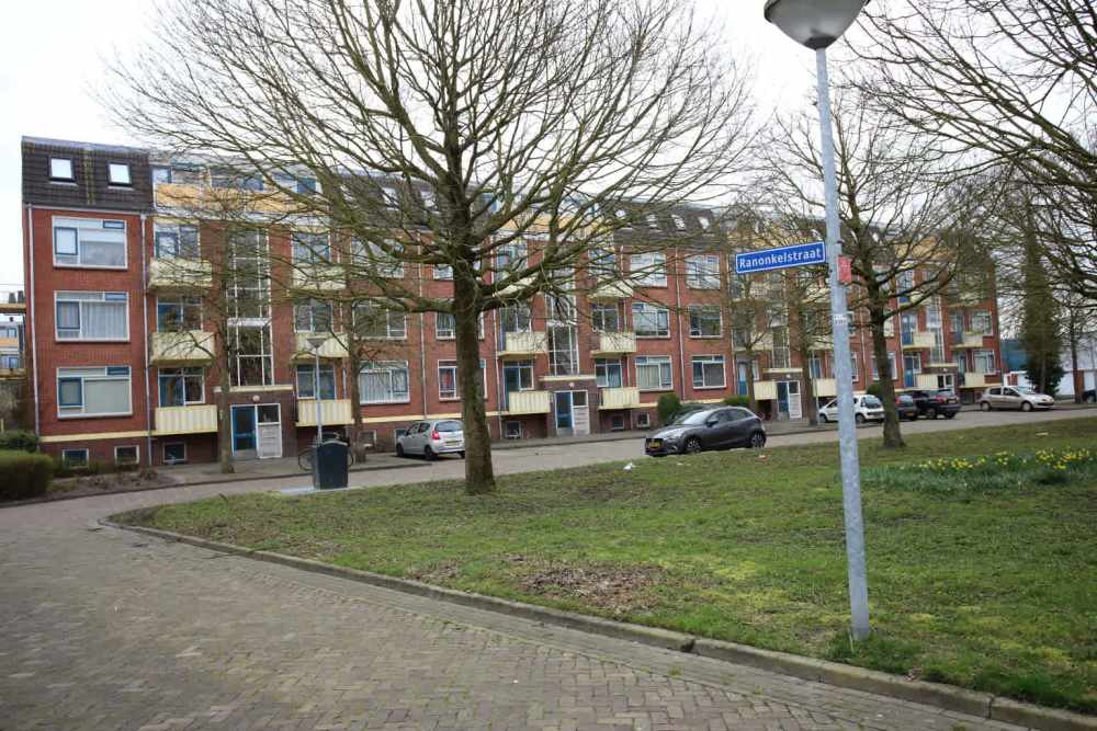 Ranonkelstraat 26