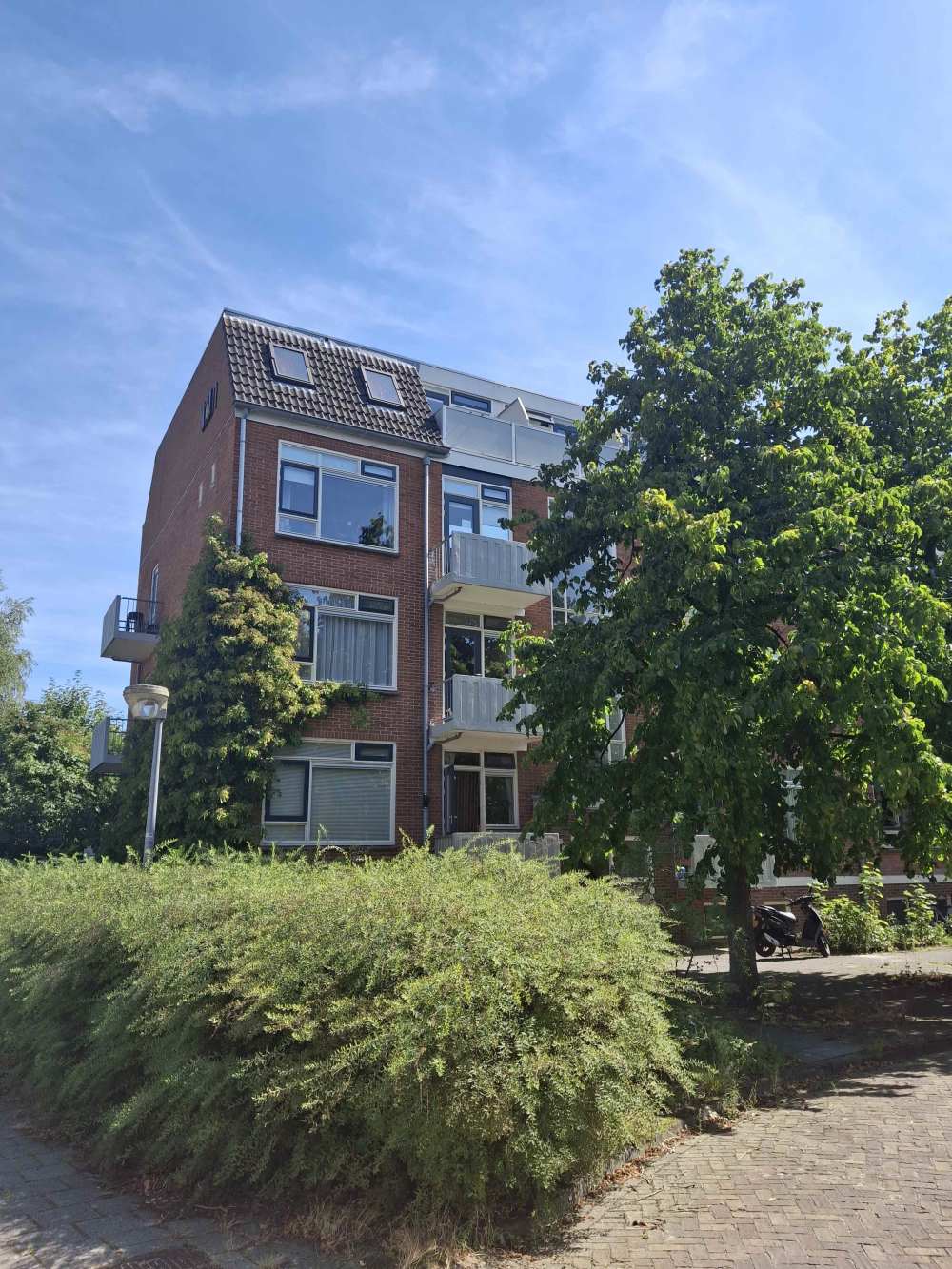 Ranonkelstraat 26