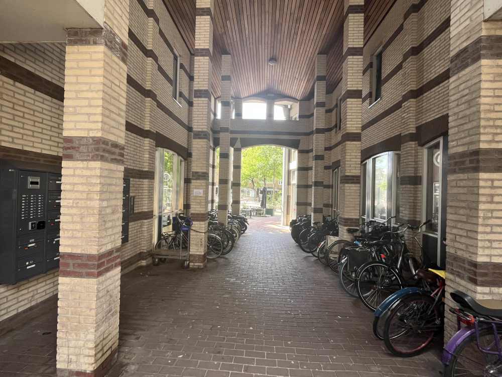 Van Hallstraat 709