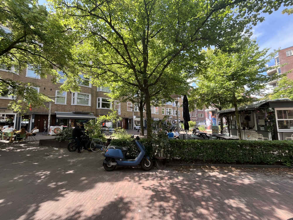 Van Hallstraat 709