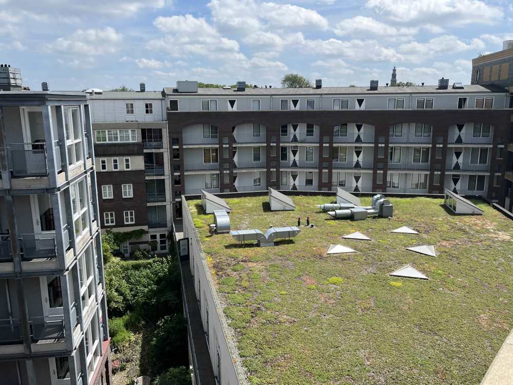 Van Hallstraat 709