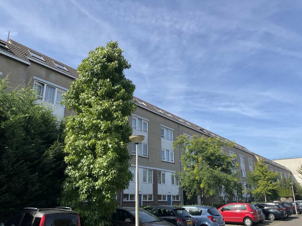 Muiderstraatweg 42B