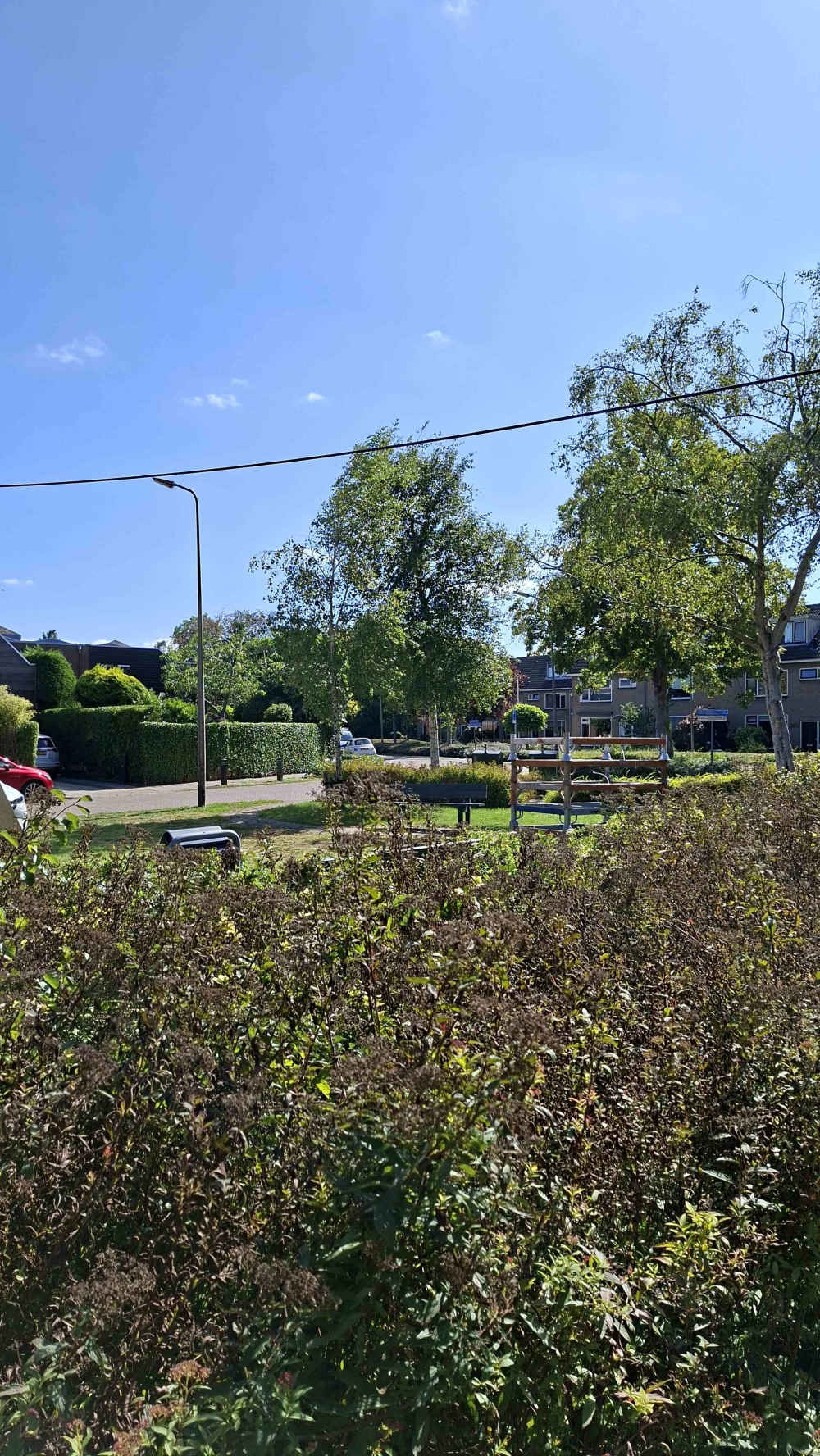 Floris Balthasarstraat 41