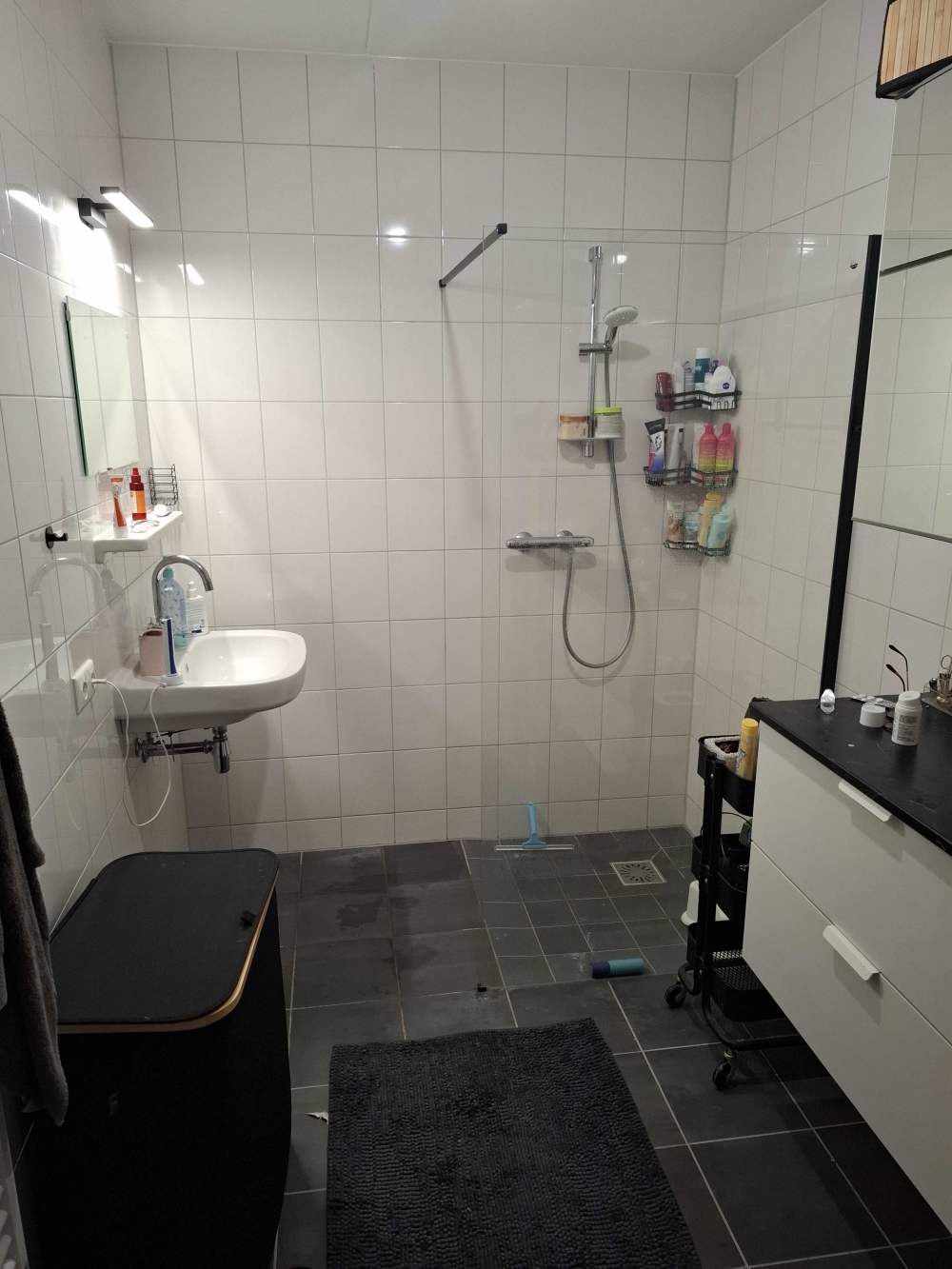 Frank van der Goesstraat 79