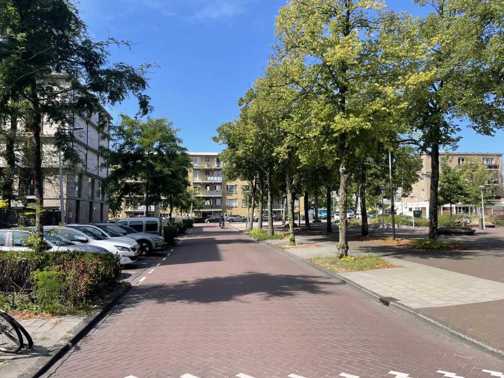 De Leeuw van Vlaanderenstraat 111