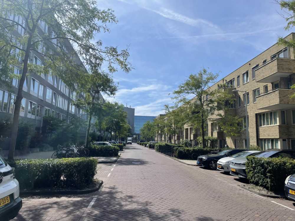 De Leeuw van Vlaanderenstraat 111