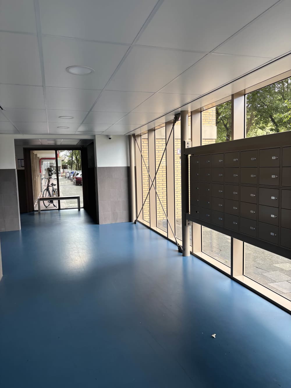 Bergblauwstraat 116